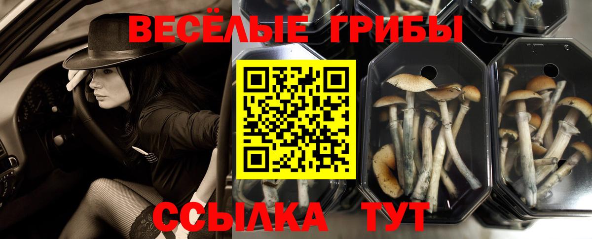 Галлюциногенные грибы прущие грибы Советская Гавань